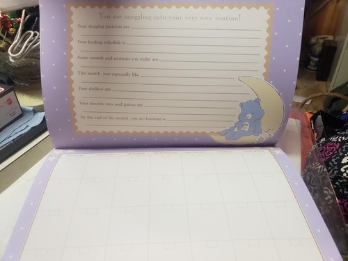 Care Bears Baby, C.R. Gibson Baby's First Year Calendar, Stickers,NEW RARE HTF