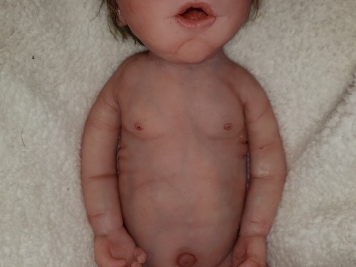 Full Body Silicone Baby Boy eco 20 rooted hair