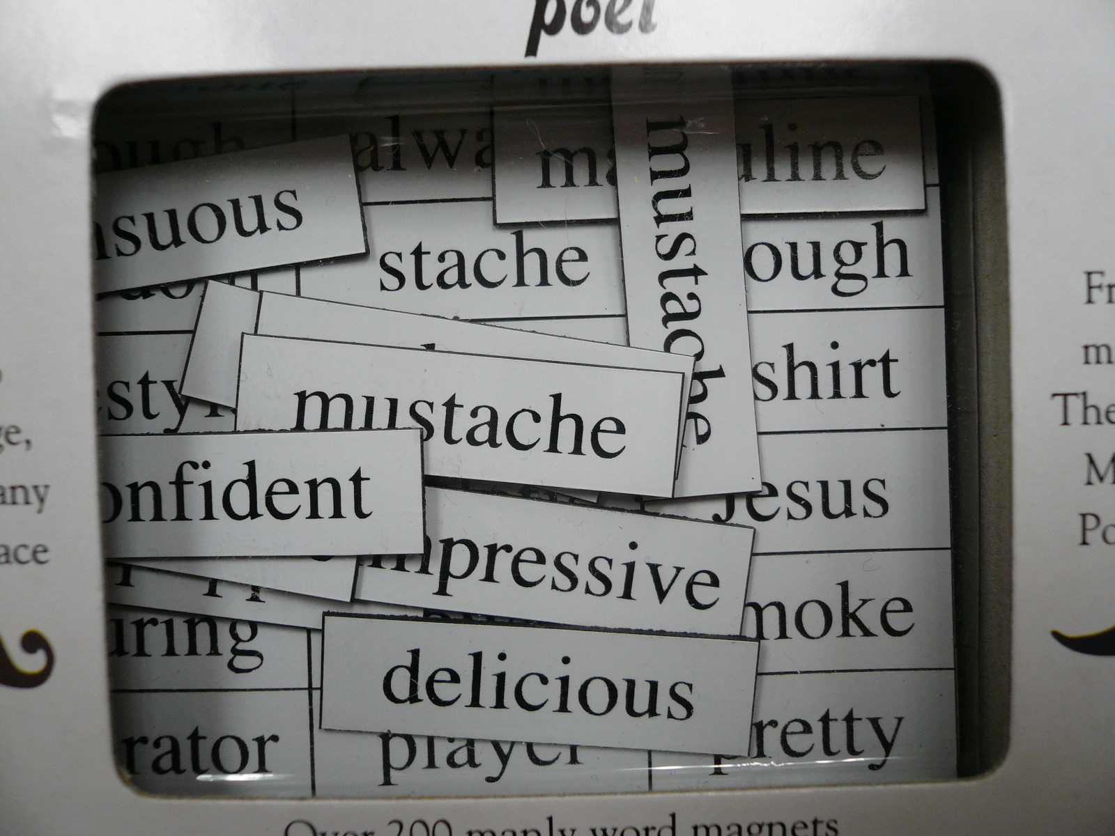 Magnetic Poetry Kit Mustache Poet Magnets 200 words/fragments Fridge Locker New