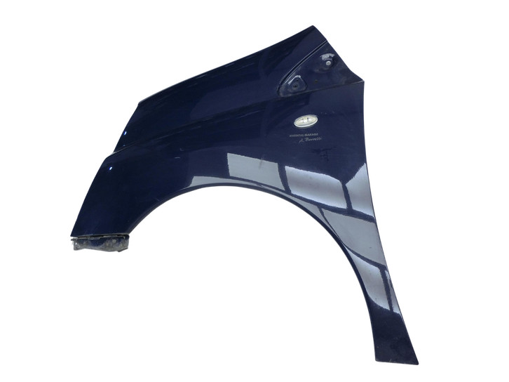 Fiat Scudo Jumpy II 07-16 Kotflügel Links Vorne - Bild 1