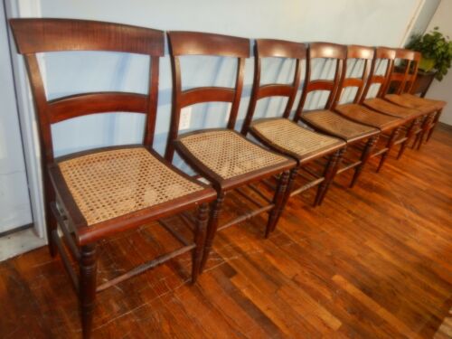 Set of 8 Tiger Maple Cane Seat Chairs Curly Maple Backs 