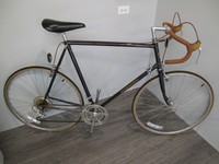 nishiki international road bike