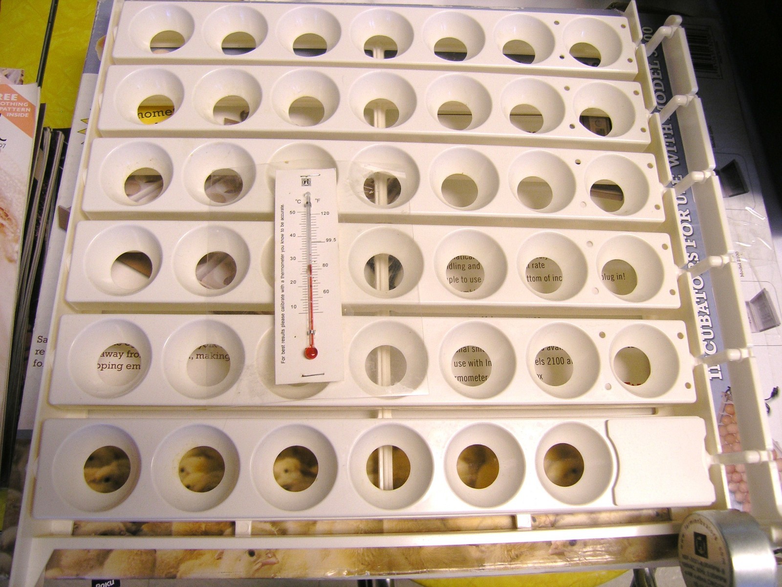 FARM INNOVATORS 3200 CHICKEN POULTRY 42 LARGE EGG INCUBATOR AUTOMATIC TURNER