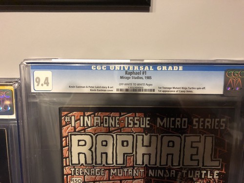 Raphael CGC 9.4 TMNT 1st Casey Jones