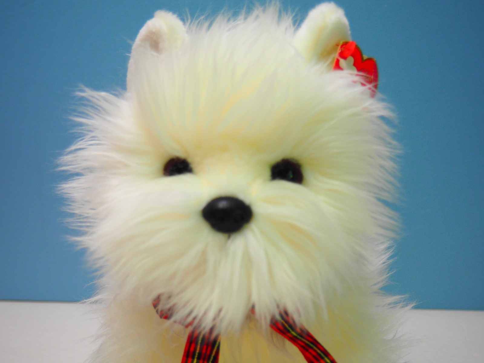 Ty Plush Classic Beanie Buddy White Fluffy Puppy Dog 