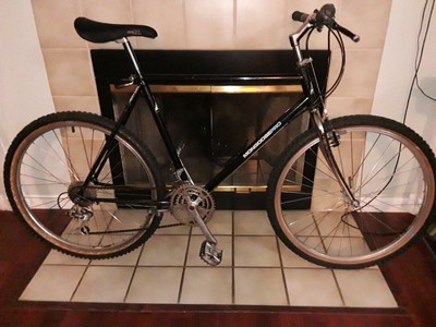 Fuji Vintage City Hybrid Bike Frame 21.5/" X-large USA Made 4130 Steel Charity!