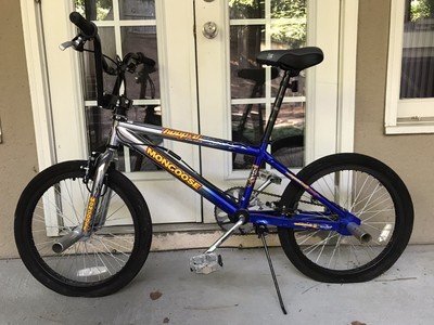 mongoose ko freestyle