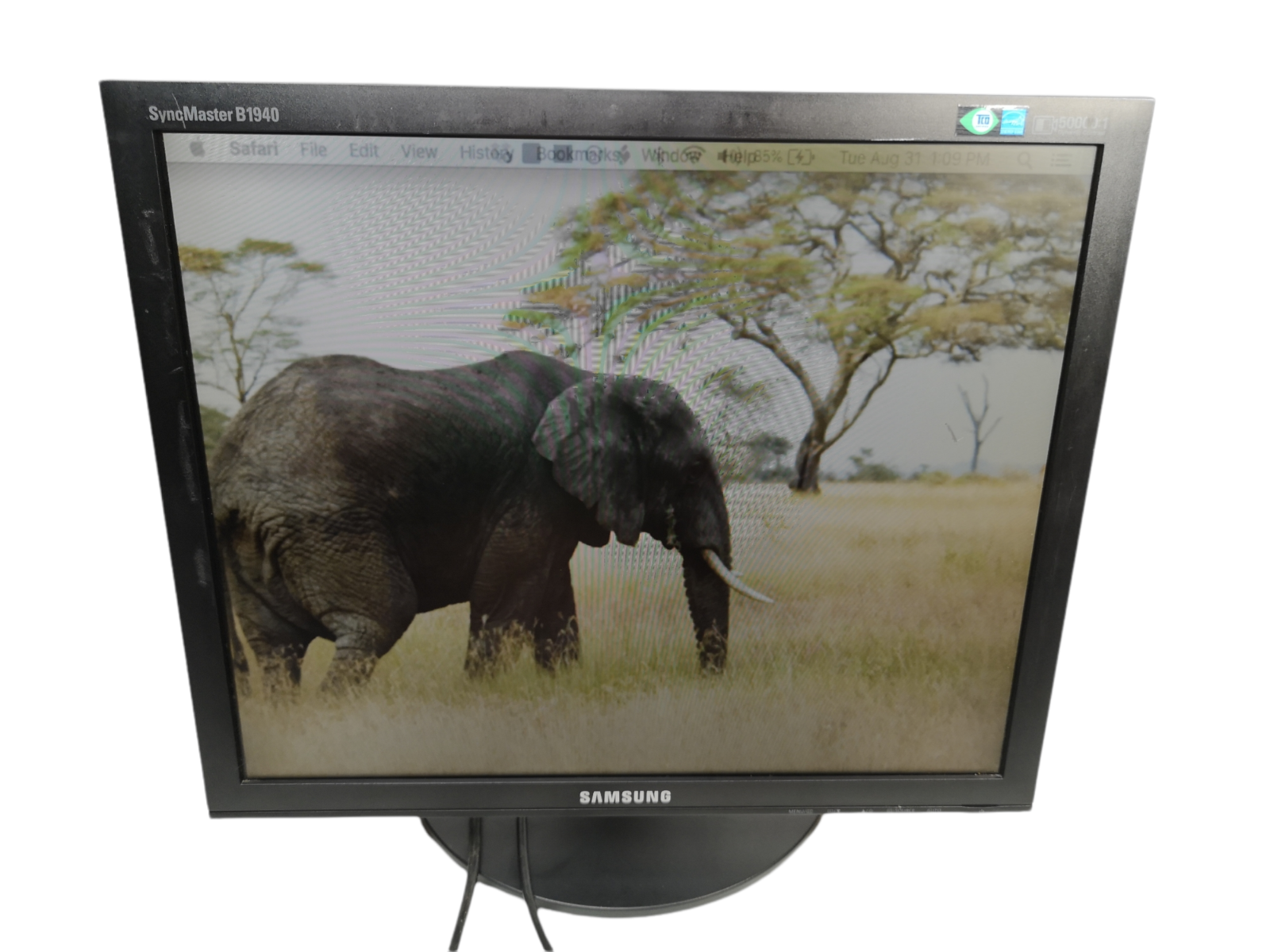 Купить Монитор Samsung SyncMaster B1940 19" 1440 x 900 LCD Monitor ...