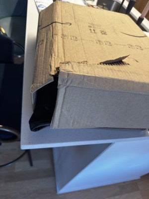 Item photo(s) from verified buyer
