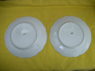 2X Vintage Warwick China Salad Plate Platter - Purple Flowers - Excellent