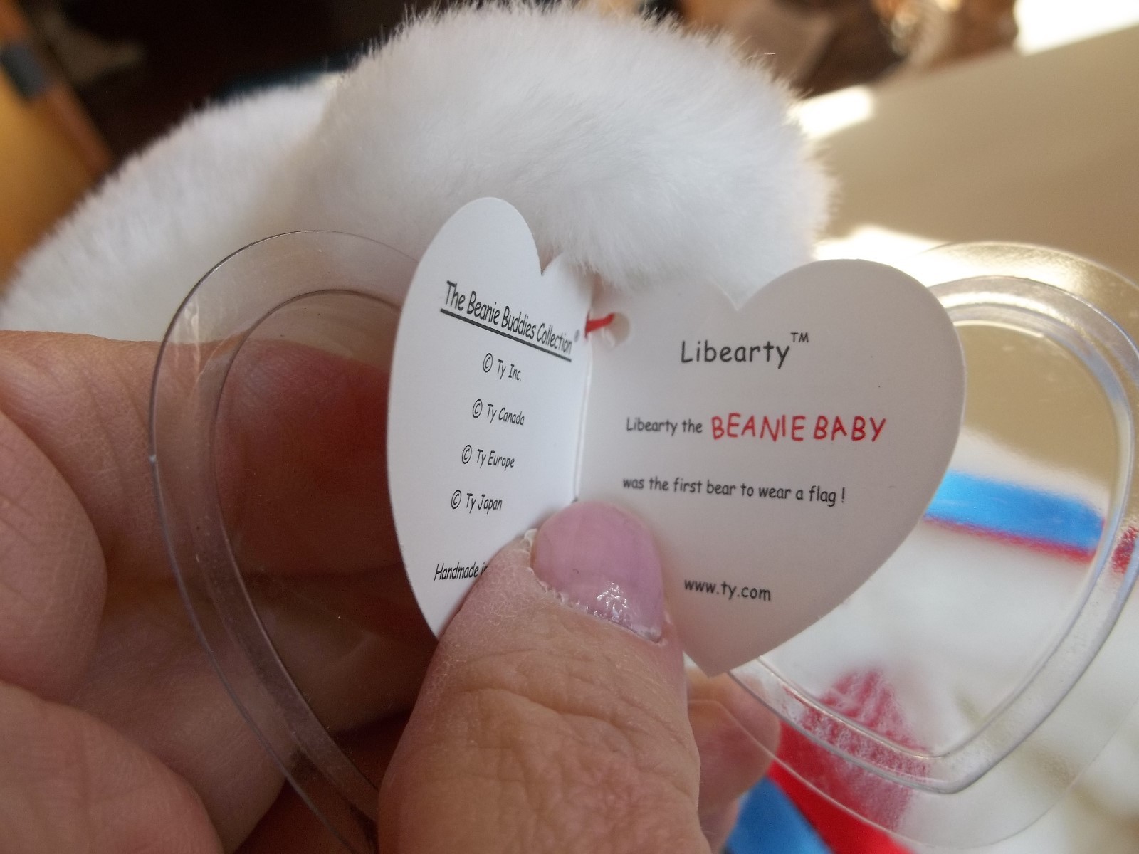 Ty Libearty 2000 13