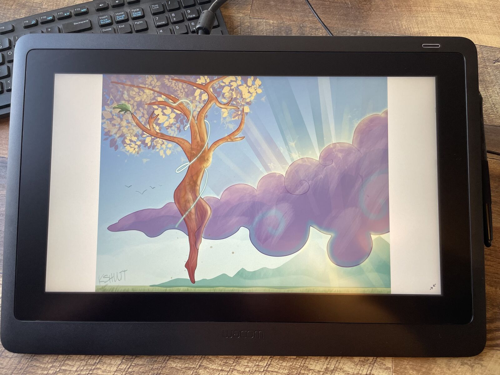 Wacom Cintiq 16 15.6 Wacom Cintiq 16 15.6
