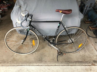 Bicicletas Nissi De Agosto Teléfono 2025 www