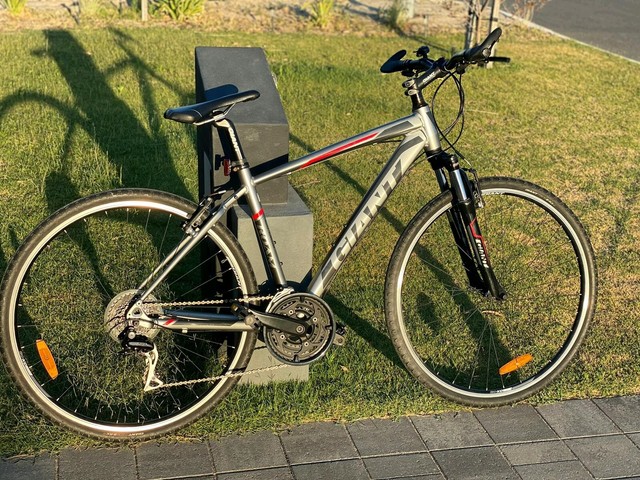 giant roam 2014