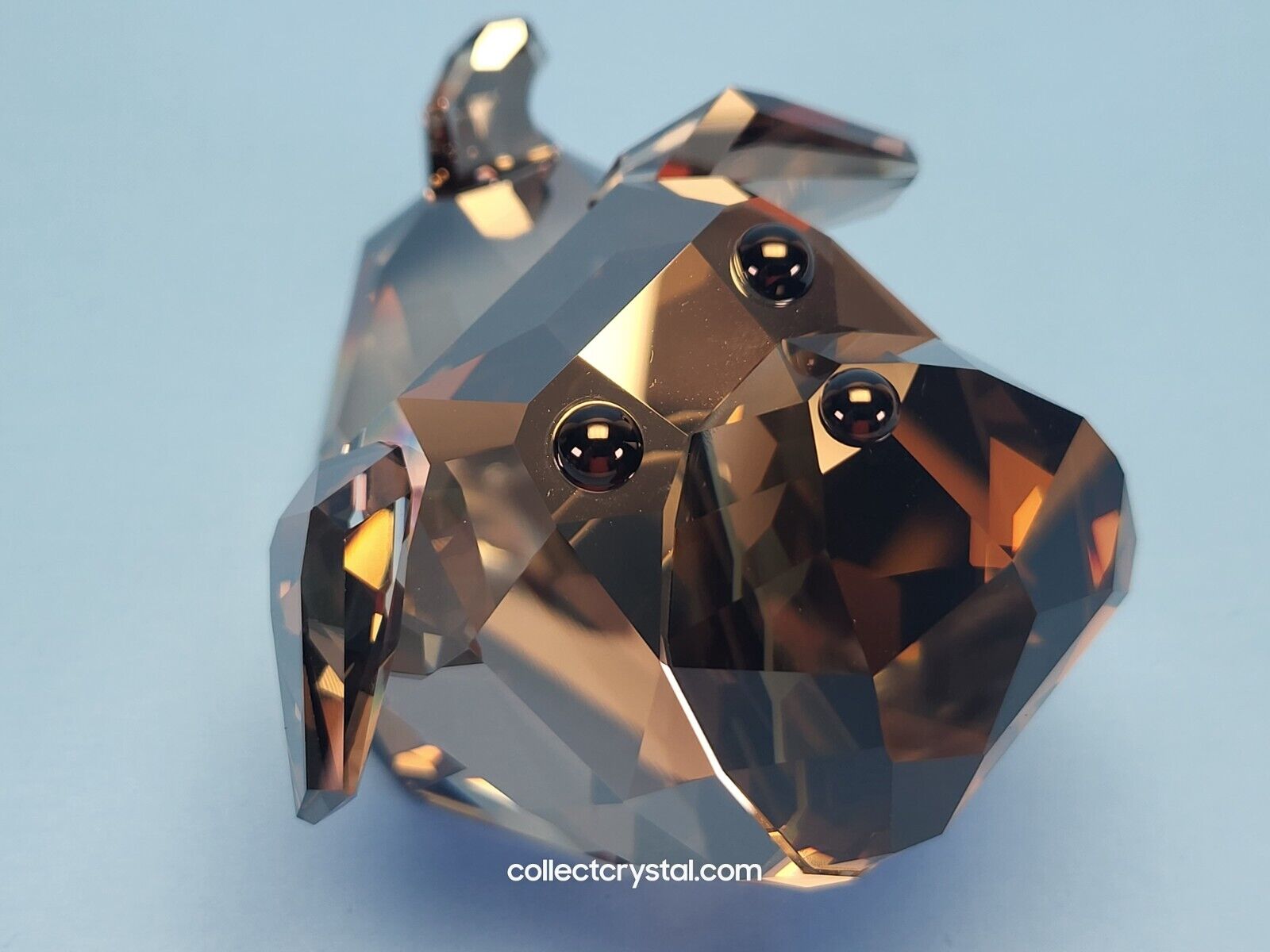 Swarovski Figurine Lovlots Gang of Dogs Tomasino 935718 MIB Swarovski Figurine Lovlots Gang of Dogs Tomasino 935718 MIB