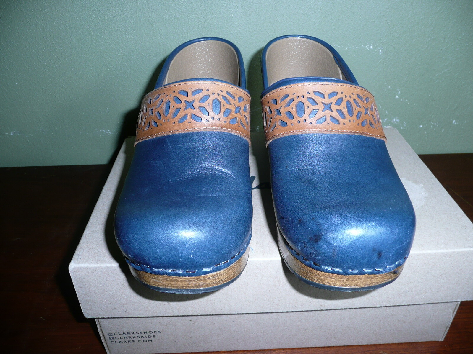dansko hibiscus