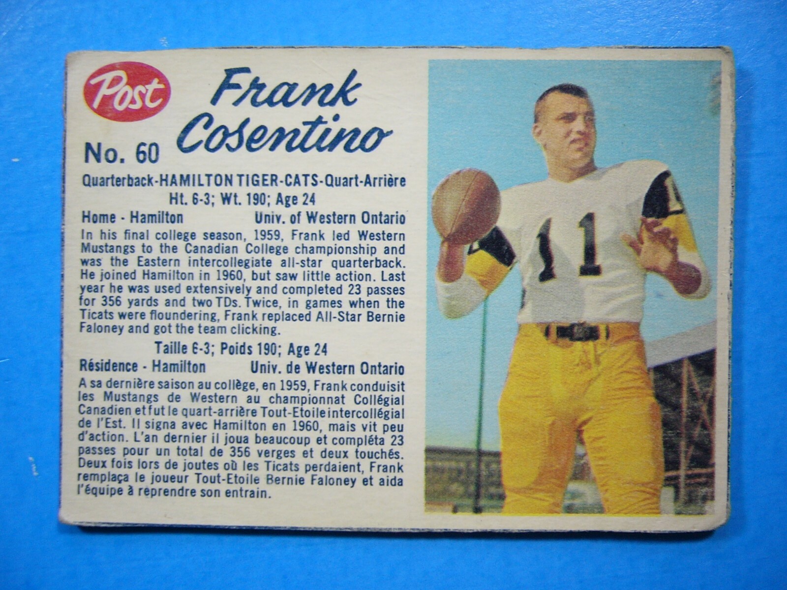 Tony Francis Cardassius 状態B + 020862-3_1200x1200.png?v=