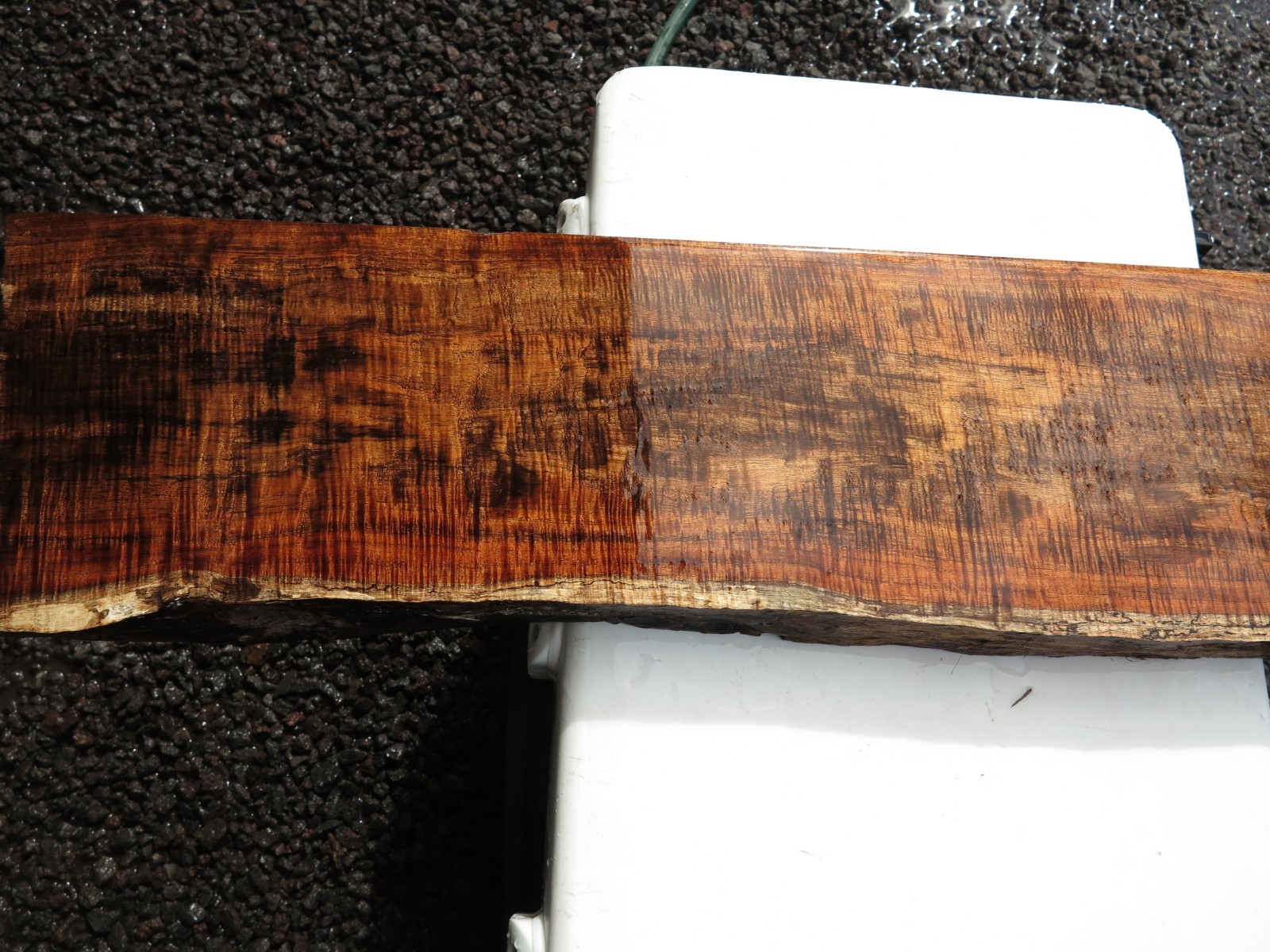 Koa Curly Hawaiian Wood A-15
