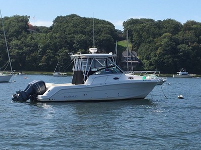 30 ft 2009 Roballo express
