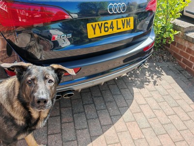 Objectfoto('s) van geverifieerde koper