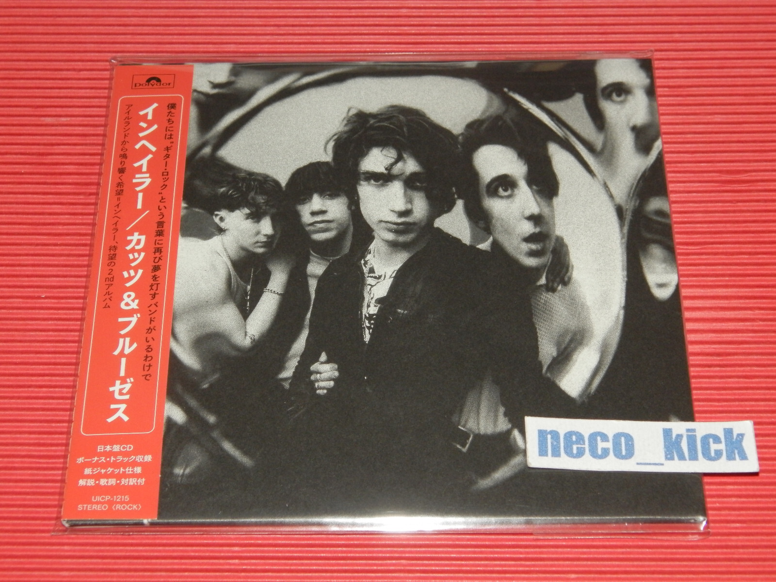 INHALER 直筆サイン付き LPレコード Cuts & Bruises INHALER 直筆サイン付き LPレコード Cuts & Bruises Cuts