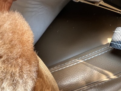 image 14 of interior