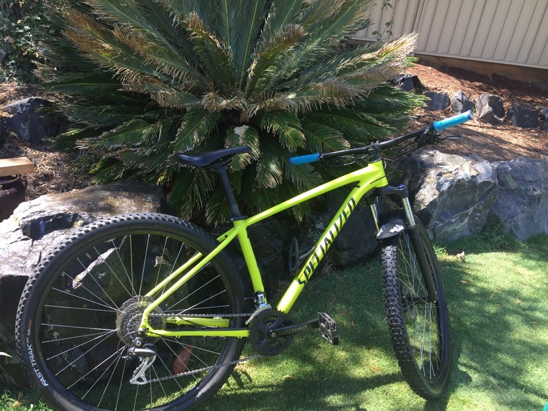 specialized rockhopper second hand
