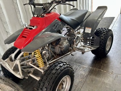 Photos de l'objet d'un acheteur vérifié