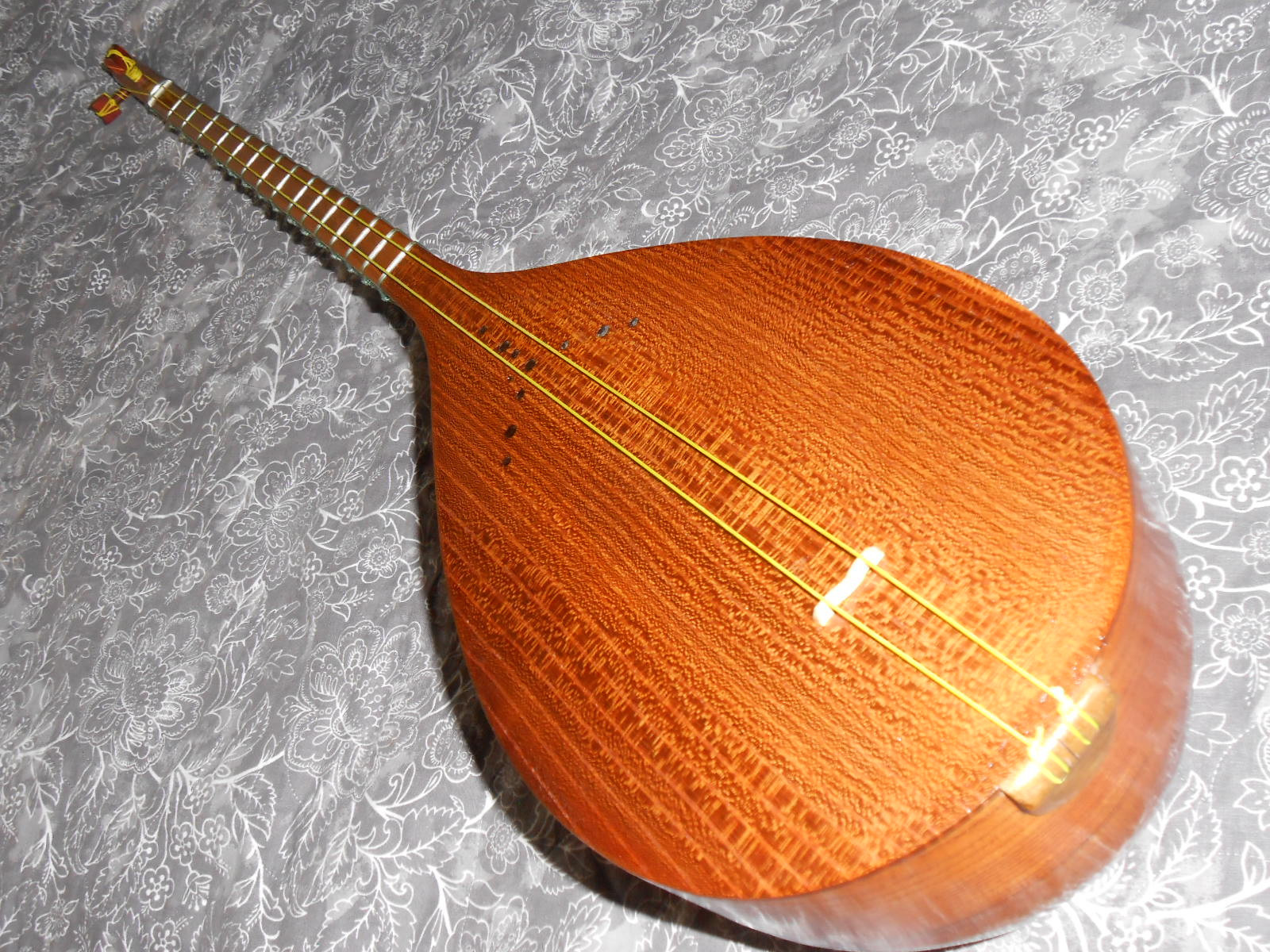 Central Asia Silk String Dutar Dotar