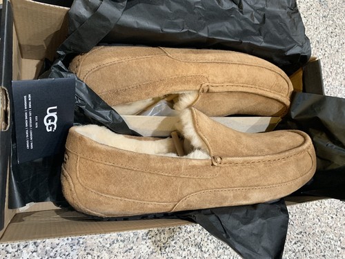NEW!! UGG Men's Ascot Suede Slipper, Chestnut, SIZE 13, New In Box! 5775 M / CHE