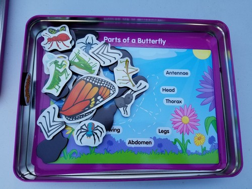 Lakeshore Learning Magnetic Science Activity Tin Insects and Spiders