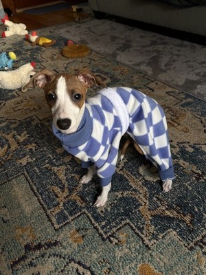 Artikelfoto(s) von einem verifizierten Käufer