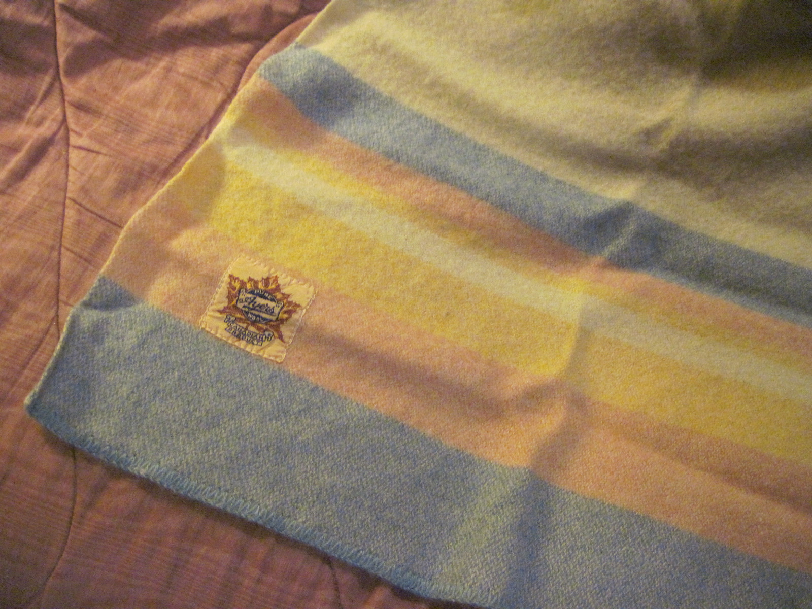 Vintage Ayer's Canadian wool Blanket 62 X 78 single