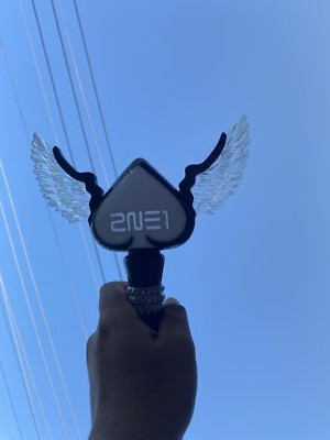 2NE1 2012 NEW EVOLUTION 公式 ペンライト s-l400.jpg