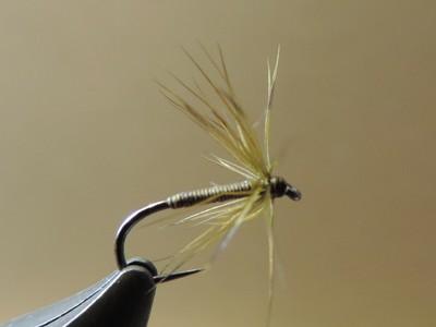 Bunny Sculpin Origi.FishSkull USA 3 Farben #4 Sculpin Helmet PREIS GESENKT 4,99€
