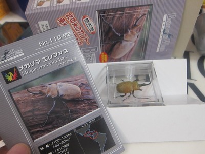 TAKARA - Beetle of the World 5 - Megasoma elephas - male - Mini Figure - R41