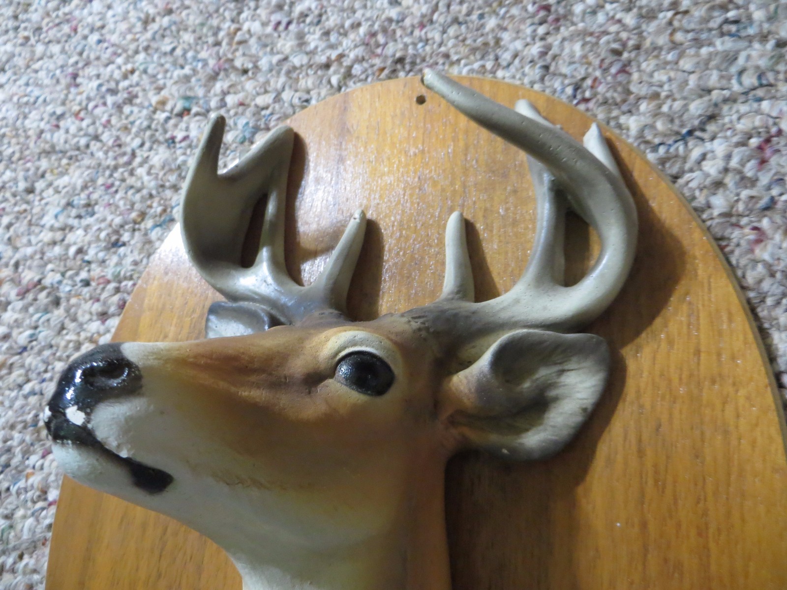 10 POINT BUCK WHITETAIL DEER CHALK WARE DISPLAY WALL HANGER,RHINELANDER WIS
