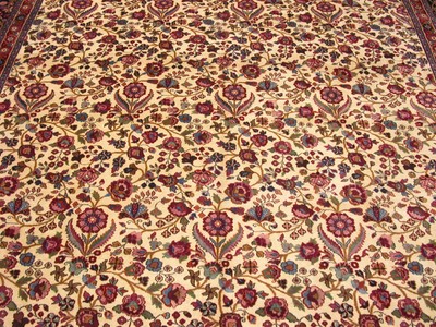 Persian Rug Mood Hand Knotted Ivory Reds Wool Fine Oriental Carpet 10 x 14