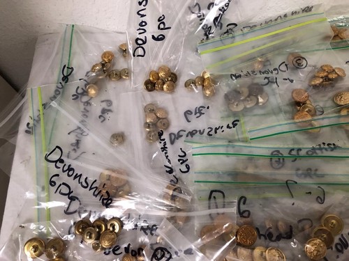 600+  MILITARY BUTTON LOT For Uniforms Multi Branch