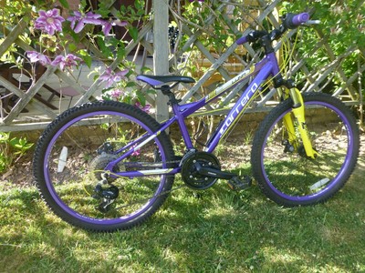 girls carrera mountain bike