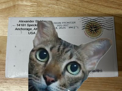 Item photo(s) from verified buyer