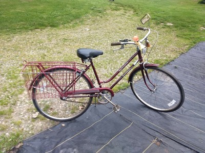 vintage huffy savannah
