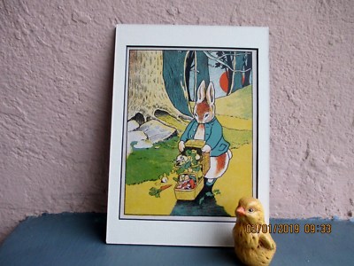 antique illustration of Peter Rabbit by Virginia Albert 1908