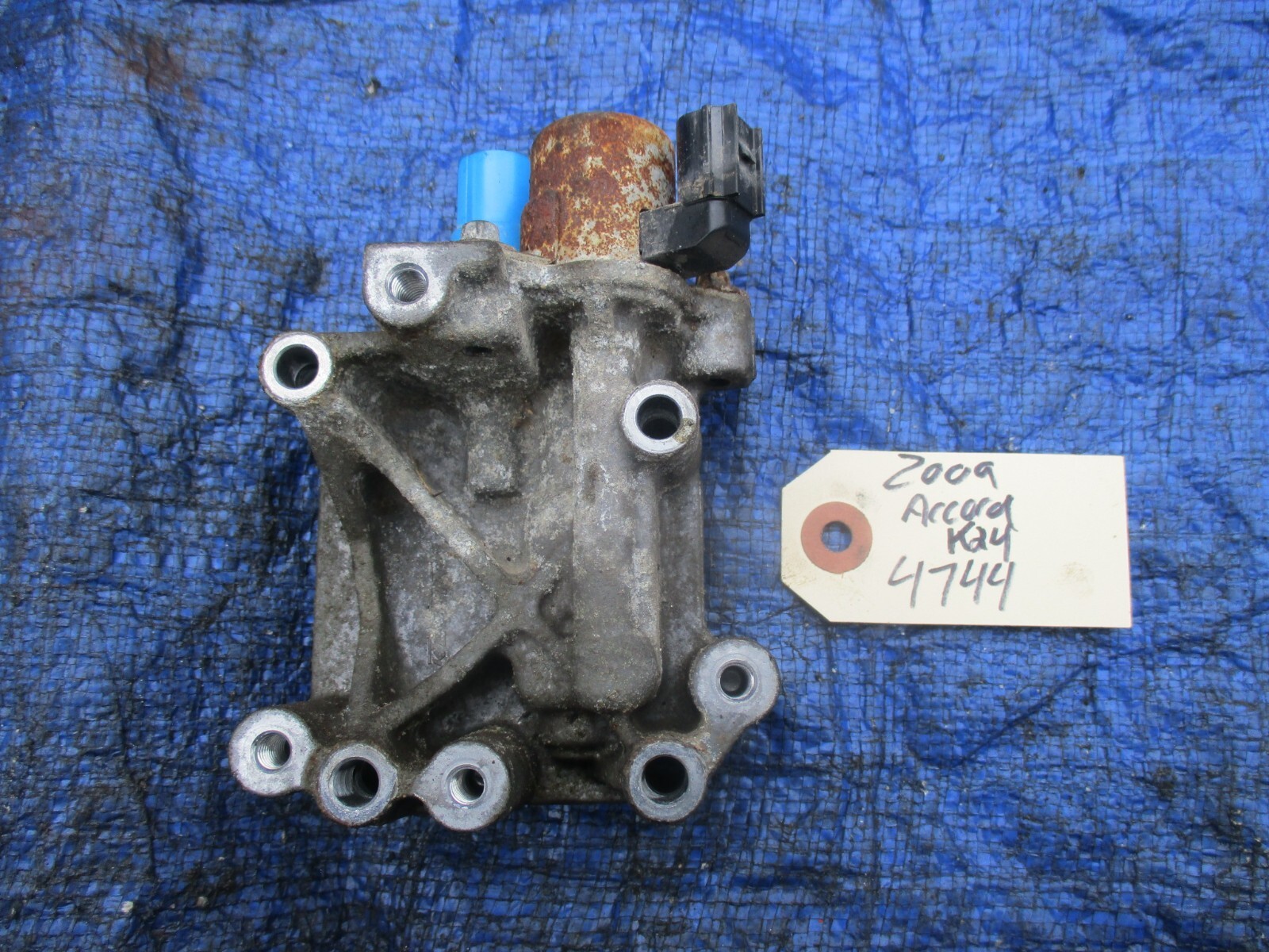 ゐぬゐ s-l1200.jpg