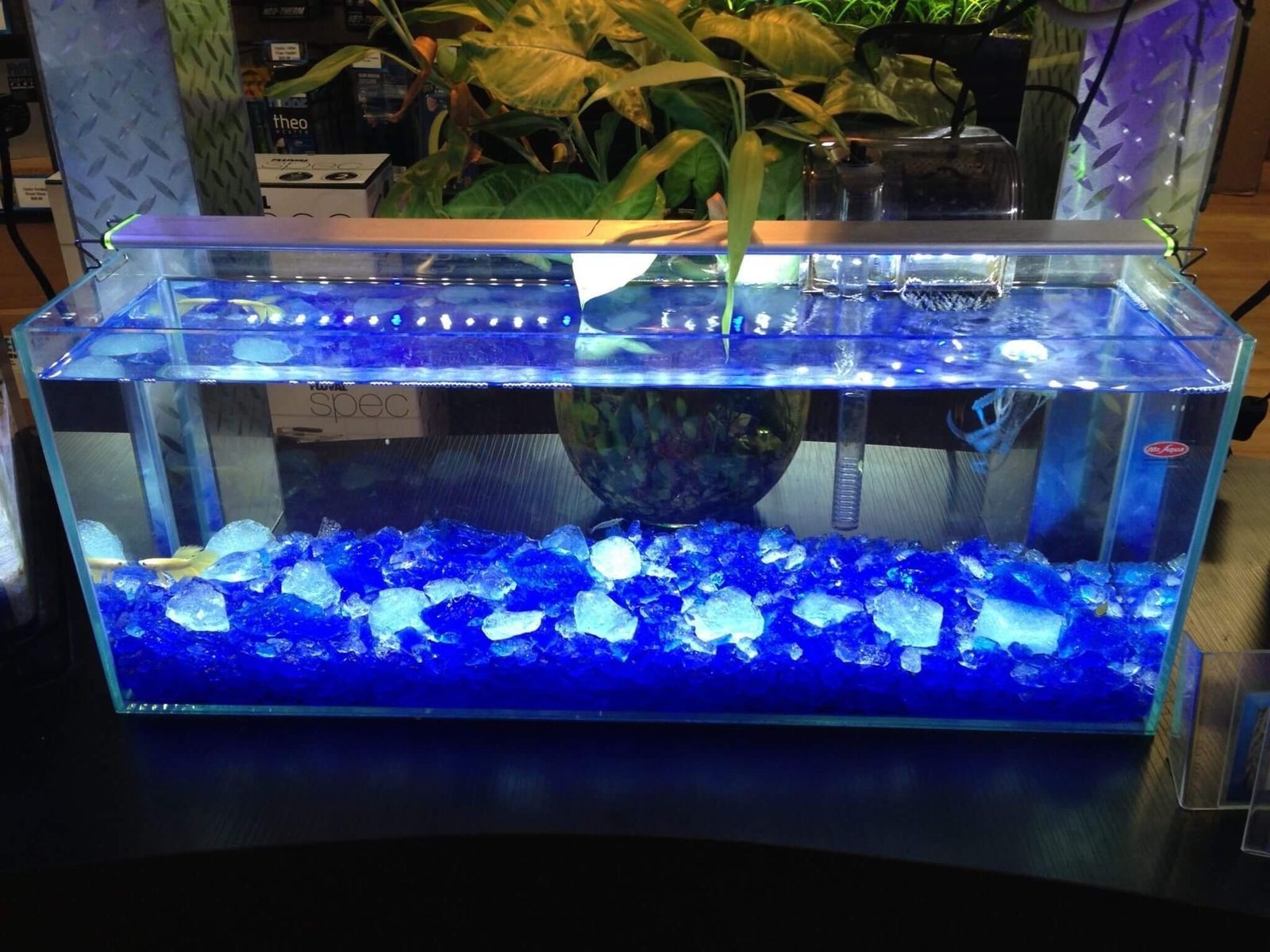 VIVID BAHAMA BLUE 1/2 - 3/4" Large Fireplace & Fire Pit Fireglass Glass Crystals