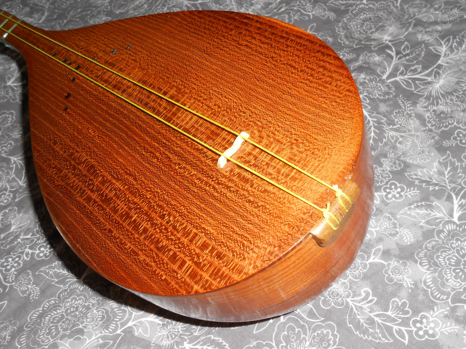 Central Asia Silk String Dutar Dotar