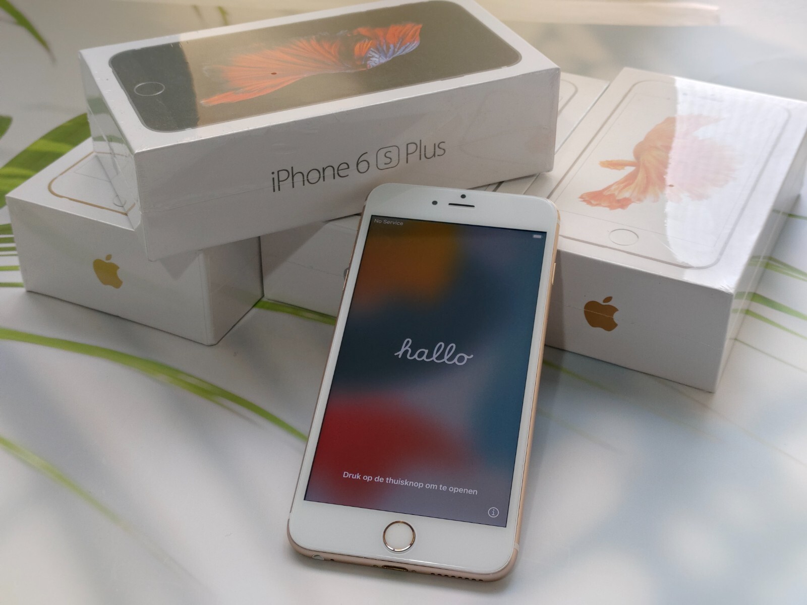 iPhone ６ Apple iPhone 6 - white + EXCELLENT CONDITION +(Unlocked