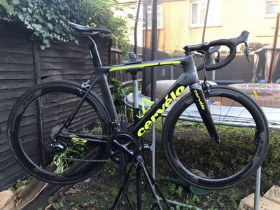 gumtree cervelo