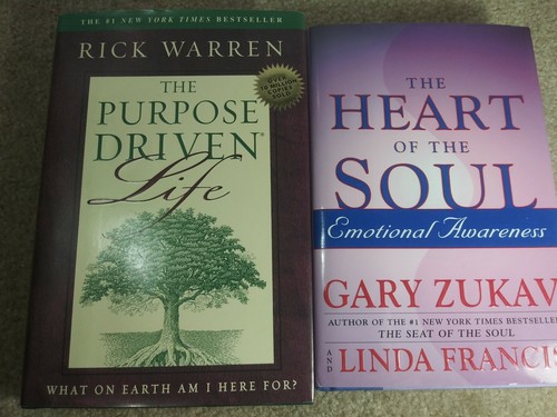 Lot of 10: Spiritual, The Alchemist Paulo Coelho, The Seat of the Soul Zukav