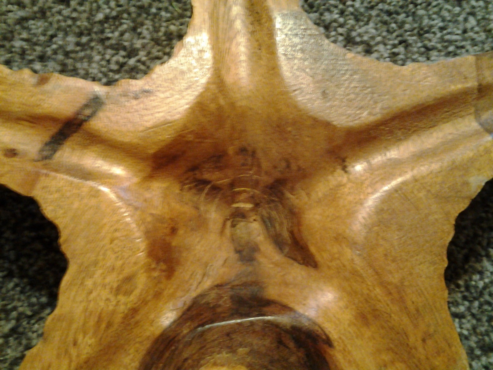 Vintage Beautiful carved Wood Starfish shaped paper weight desk approx. 11
